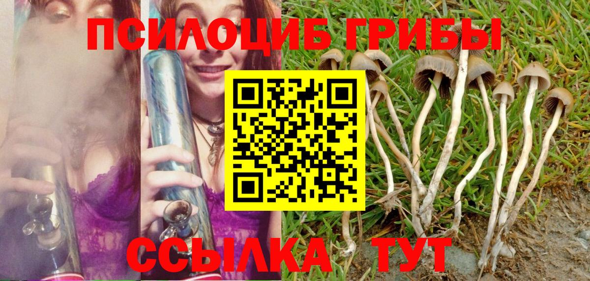 наркотики  Галлюциногенные грибы Cubensis  Алатырь  Вход с VPN  Псилоцибиновые грибы мухоморы 