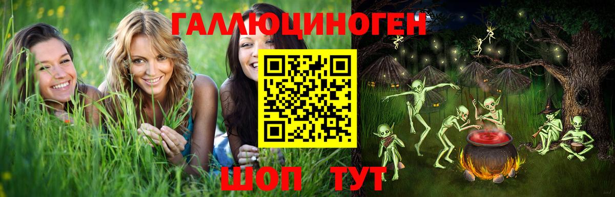 Галлюциногенные грибы Psilocybe Алатырь